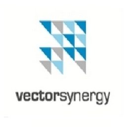 Vector Synergy logo