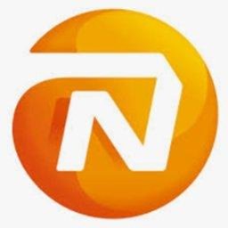 NN GROUP logo