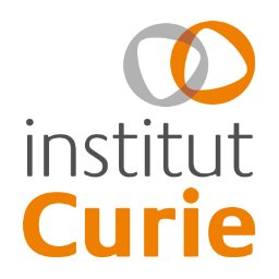 Institut Curie logo