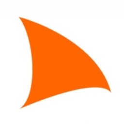 BPM Company logo
